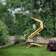 Best Tree Health Inspection  in Alvarado, TX